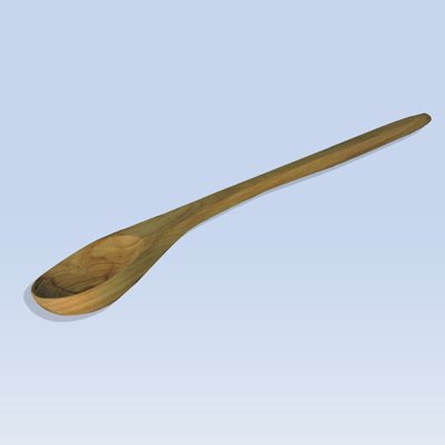 Wooden Service Spoon